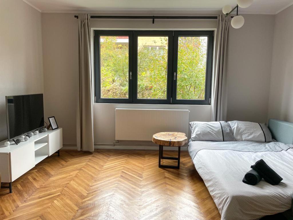 Flh - Nana'S Apartment 锡比乌 外观 照片